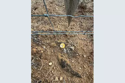 [Address not provided], Spring City, UT 84662 - Photo 12