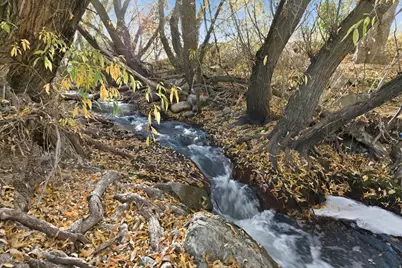 1038 S Old Towne Rd, Layton, UT 84041 - Photo 38