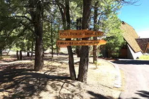 2814 N Dead Horse Loop, Duck Creek Village, UT 84762 - Photo 4