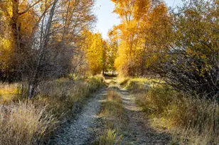 7050 N River Valley Dr, Peoa, UT 84061 - Photo 92