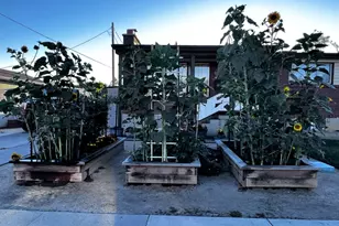 6460 S Blaine Dr W, Murray, UT 84107 - Photo 30