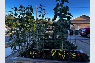 6460 S Blaine Dr W, Murray, UT 84107 - Photo 28