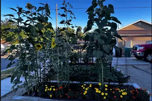 6460 S Blaine Dr W, Murray, UT 84107 - Photo 28