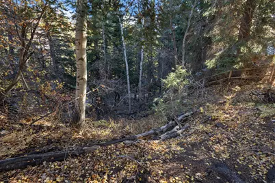 9128 N Timphaven Rd E #15, Sundance, UT 84604 - Photo 18