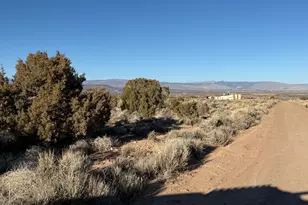 5443 N 7600 W, Roosevelt, UT 84066 - Photo 4