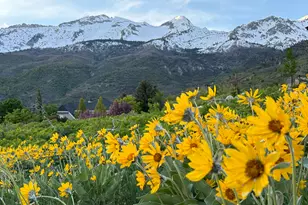 1653 Rosanna Cir, Alpine, UT 84004 - Photo 1