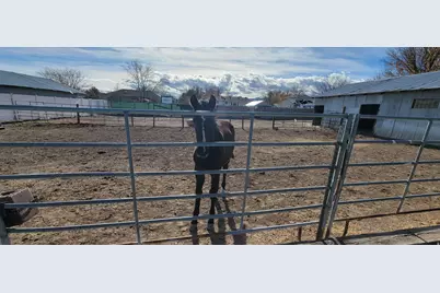 2853 W 12075 S, Riverton, UT 84065 - Photo 54