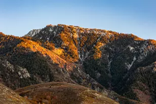 3149 E 10000 S, Sandy, UT 84092 - Photo 92