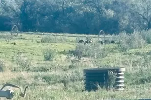 3611 W Hwy 116, Mount Pleasant, UT 84647 - Photo 30