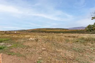 29665 N 9000 E, Fairview, UT 84629 - Photo 22