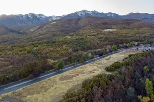 151 S Meadow Dr, Springville, UT 84663 - Photo 52