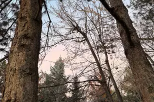 3261 E Lantern Hill Ct, Cottonwood Heights, UT 84093 - Photo 54