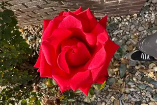 621 Excalibur, North Salt Lake, UT 84054 - Photo 4