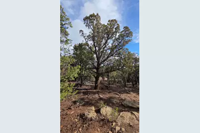 95 S Wray Mesa Rd #10, La Sal, UT 84530 - Photo 10