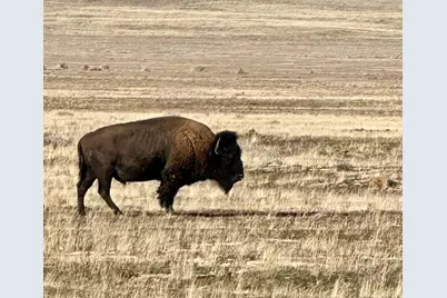 [Address not provided], Dugway, UT 84022 - Photo 24