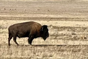 [Address not provided], Dugway, UT 84022 - Photo 24