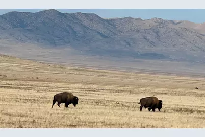 [Address not provided], Dugway, UT 84022 - Photo 10