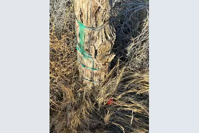 9813 E 4000 N, Lapoint, UT 84039 - Photo 2