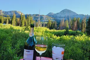 8101 S Millicentview Ln, Brighton, UT 84121 - Photo 58