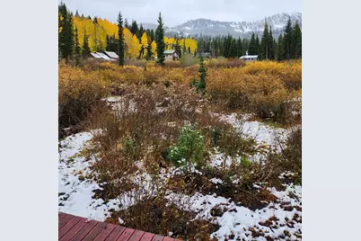 8101 S Millicentview Ln, Brighton, UT 84121 - Photo 40