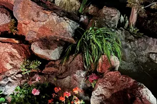 397 W 4125 N, Pleasant View, UT 84414 - Photo 66