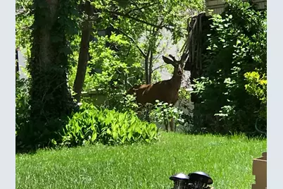 2113 E Fardown Ave, Holladay, UT 84121 - Photo 1