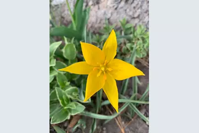 74 W Main St, Grantsville, UT 84029 - Photo 38