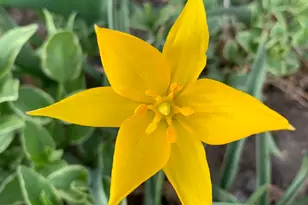 74 W Main St, Grantsville, UT 84029 - Photo 38