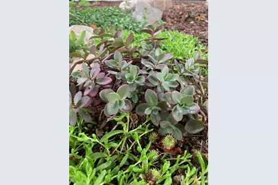 74 W Main St, Grantsville, UT 84029 - Photo 46