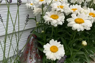 74 W Main St, Grantsville, UT 84029 - Photo 42