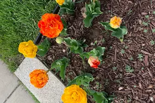 74 W Main St, Grantsville, UT 84029 - Photo 40