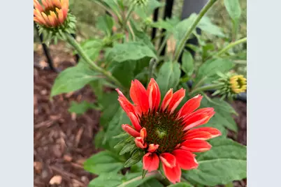 74 W Main St, Grantsville, UT 84029 - Photo 44