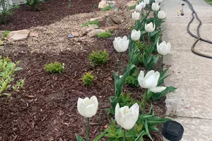 74 W Main St, Grantsville, UT 84029 - Photo 48