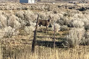 423 N 900 E, Mount Pleasant, UT 84647 - Photo 2