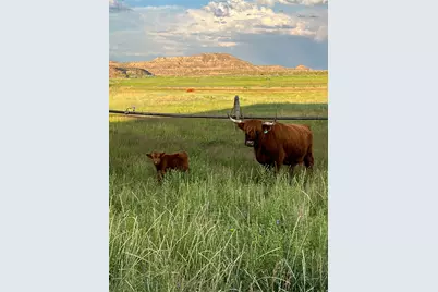 1745 N 11000 W, Altamont, UT 84001 - Photo 32