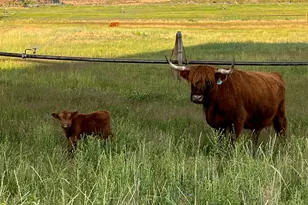 1745 N 11000 W, Altamont, UT 84001 - Photo 32