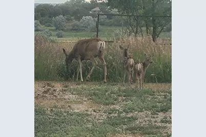 9151 N 2160 W, Neola, UT 84053 - Photo 22