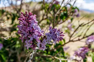 1085 S River Rdg Ln, Joseph, UT 84739 - Photo 30