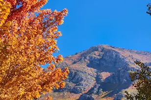 734 N Hillsdale Ln, Provo, UT 84606 - Photo 78