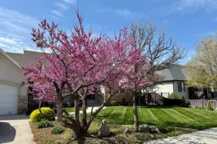 1884 Town and Country Rd, Springville, UT 84663 - Photo 64