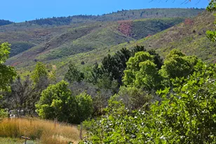 4611 S Cv Ln, Heber City, UT 84032 - Photo 62