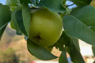 4611 S Cv Ln, Heber City, UT 84032 - Photo 60