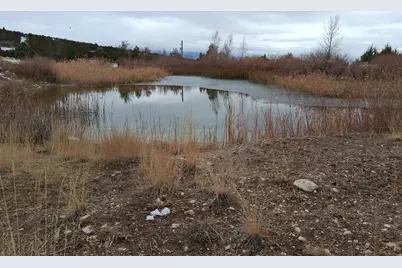 12735 E Spring Creek Dr, Fairview, UT 84629 - Photo 40