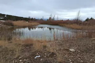 12735 E Spring Creek Dr, Fairview, UT 84629 - Photo 40