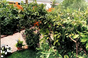 645 E 700 N, Price, UT 84501 - Photo 52