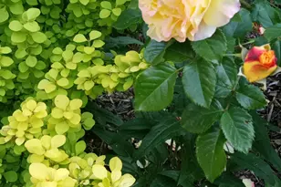 2707 S Polk Ave E, Ogden, UT 84403 - Photo 52