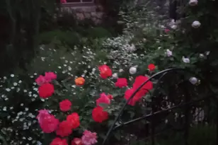 2707 S Polk Ave E, Ogden, UT 84403 - Photo 56