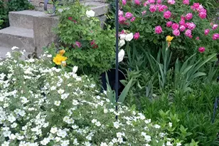 2707 S Polk Ave E, Ogden, UT 84403 - Photo 54