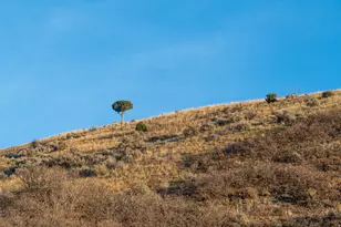 2427 S Cannon Pt Dr, Salt Lake City, UT 84109 - Photo 12