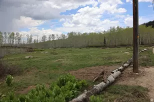 5292 N Larkspur Rd W, Midway, UT 84049 - Photo 1